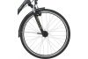Rower trekkingowy Giant Argento 3 GTS 2020